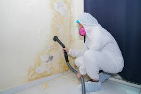 Best Real Estate Mold Inspection  in Camden, OH